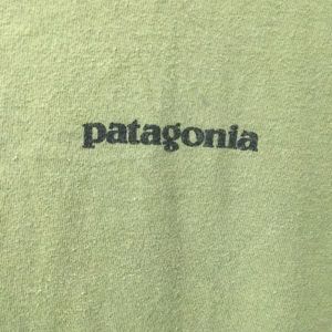 Patagonia T-shirt